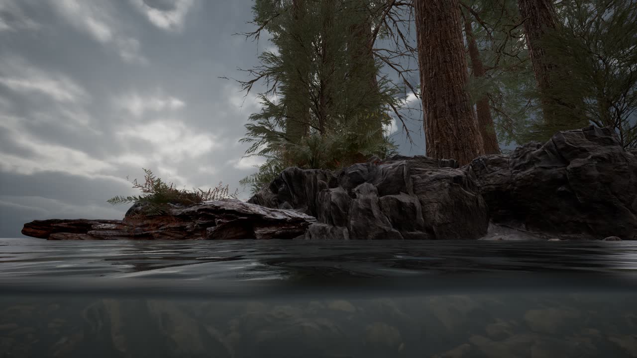 medio bajo el agua en el mar del norte con rocas