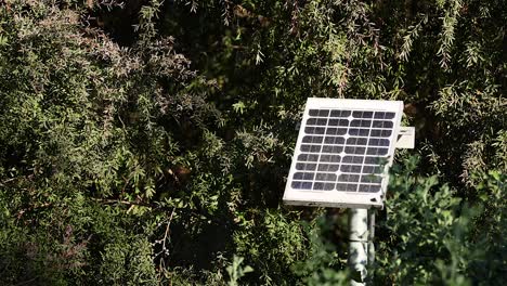 solar panel amidst lush greenery in melbourne