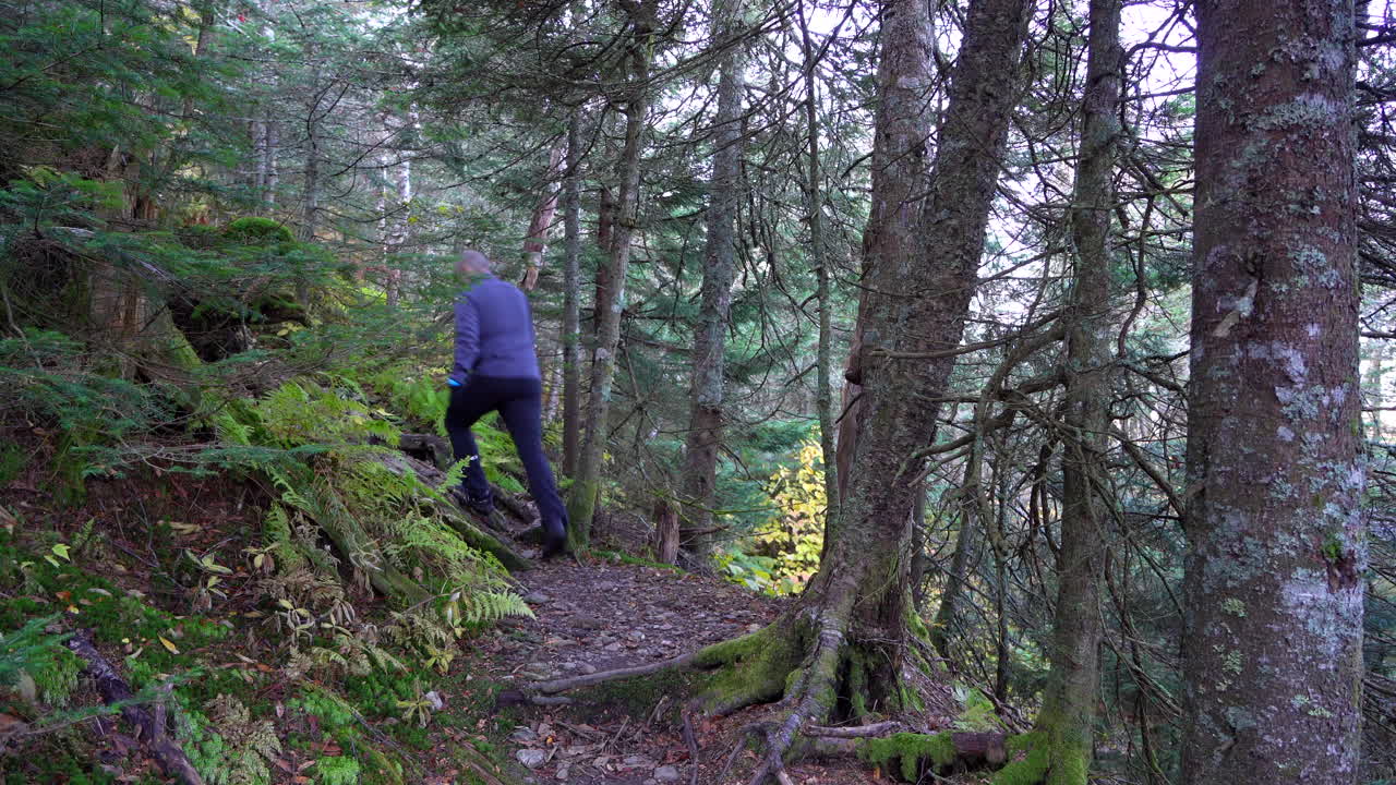 가을 산길을 걷는 남자