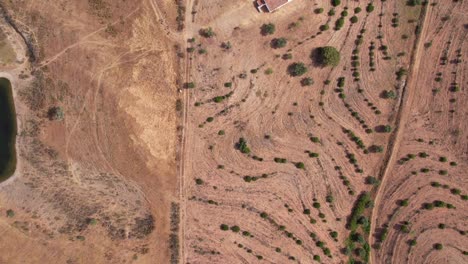 overhead view of portuguese countryside with isolated structure surrounded with trees in alentejo