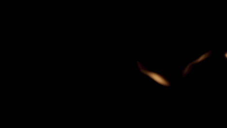 fire flames isolated on black background