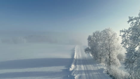 Fantastic-morning-snowy-landscape-with-sunlight-falling-on-trees