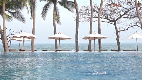 A-row-of-Umbrellas-and-chairs-around-swimming-pool-in-hotel-in-shade-of-exotic-Palm-trees-with-a-view-on-endless-sea---Holiday-Vacation-concept