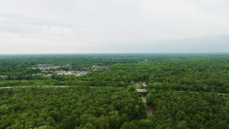 Cloudy-weather-before-rainfall-over-the-quiet-forest-surrounding-Wolf-River