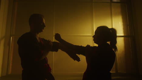 martial arts training session