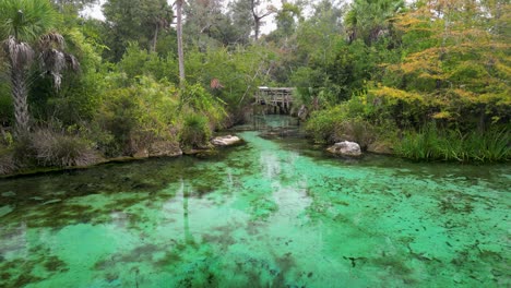 drone shot above crystal clear waters of pitt springs in the panhandle of northwest florida pushing towards econfina creek