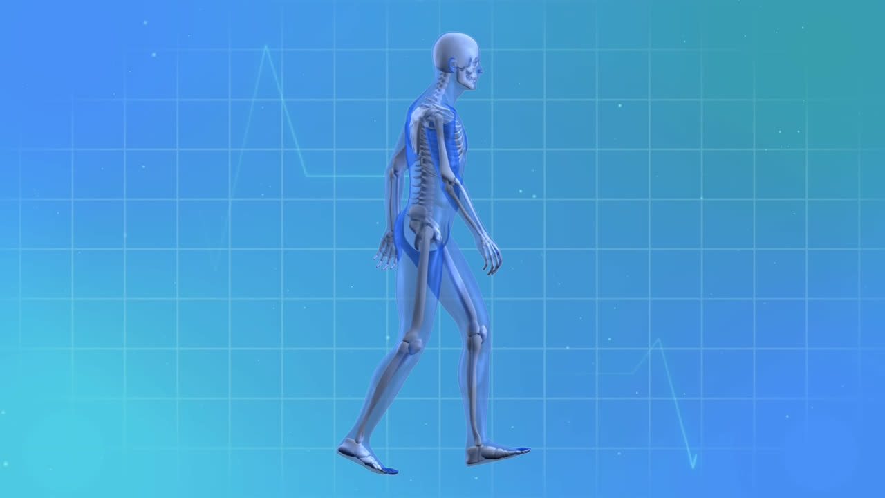 파란색 배경에 심장 사진과 는 골격의 애니메이션