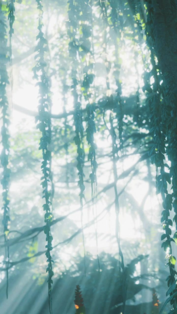 Vines hang from trees in a misty forest with sunlight through foliage