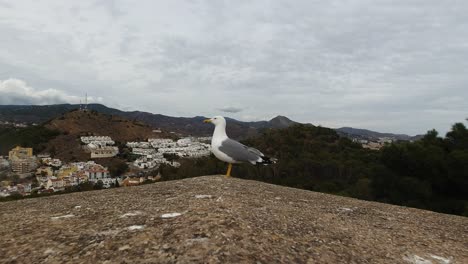 curious and cautious seagull sitting on top of stone wall against green landscape on cloudy day