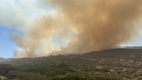 helicopters working on wild fire