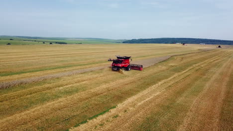 Aerial view. Combine harvester working on sunny summer day. Harvest time. Agricultural sector