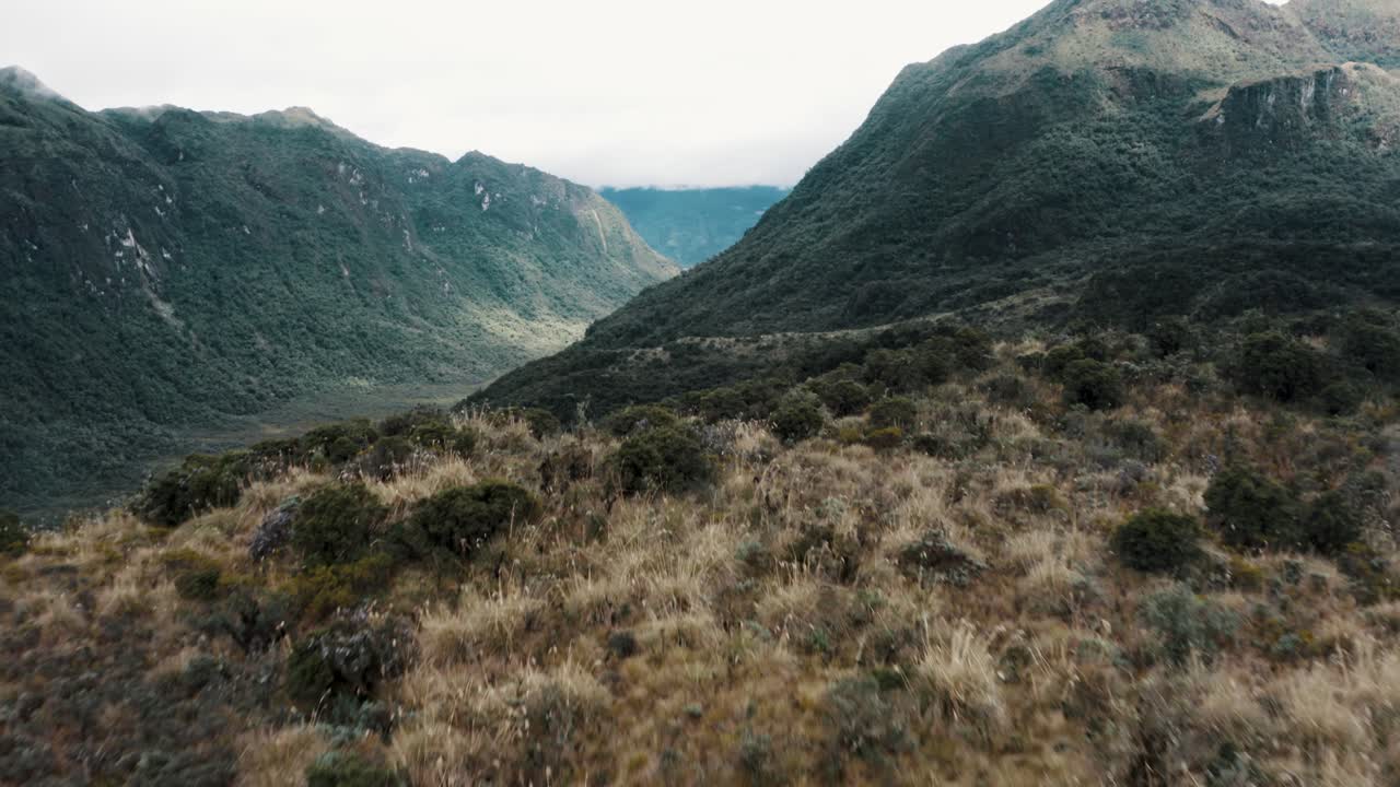 exuberantes montañas y valles en el parque nacional cayambe coca en papallacta, ecuador - toma aérea de drones