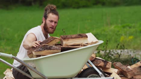 bearded man loading wheelbarrow with chopped woods