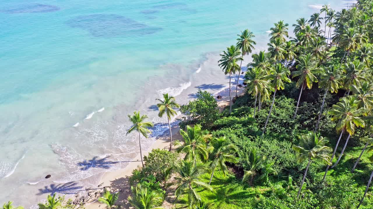 Ripresa aerea dall'alto in avanti sopra la spiaggia di Coson, Las Terrenas nella Repubblica Dominicana.