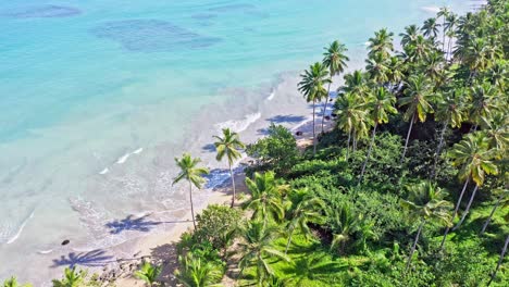 Aerial-top-down-forward-over-Coson-beach,-Las-Terrenas-in-Dominican-Republic