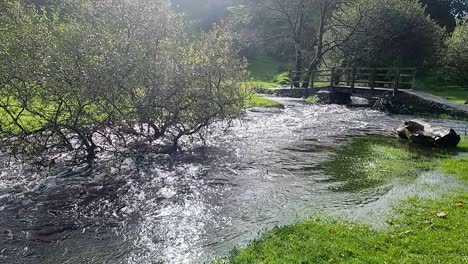 slow motion overflowing burst riverbank flooding peaceful sunlit north wales meadow and submerged trees