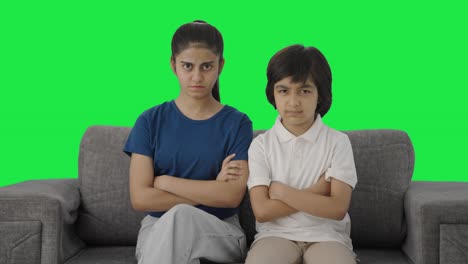hermanos indios enojados mirando la pantalla verde de la cámara