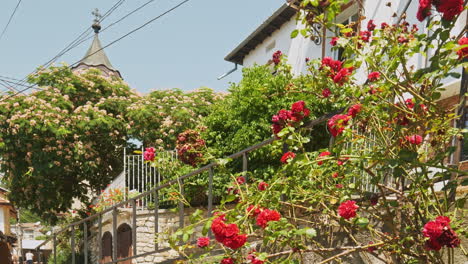 Hermosas-Rosas-Trepadoras-Rojas-En-El-Entorno-Urbano-Del-Edificio-De-Piedra