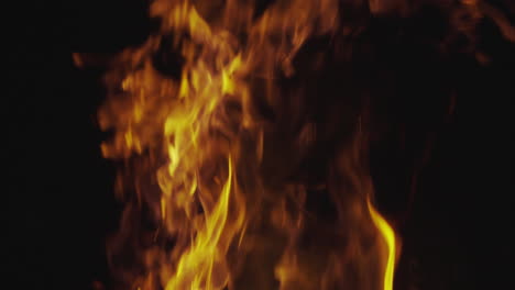 fogo ardente