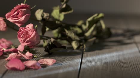 withered rose flowers with crushed dried petals on wooden table in dark room