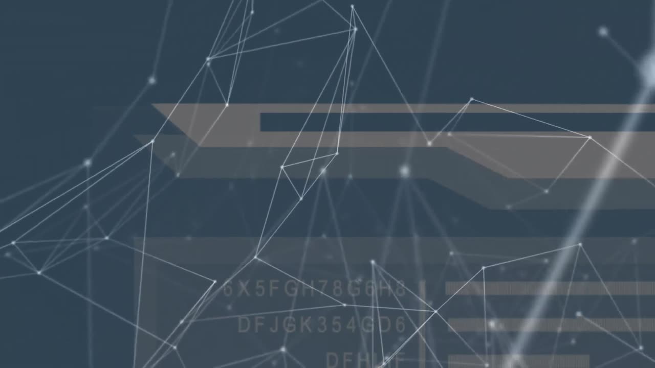 animación de la red de conexiones a través del procesamiento de datos