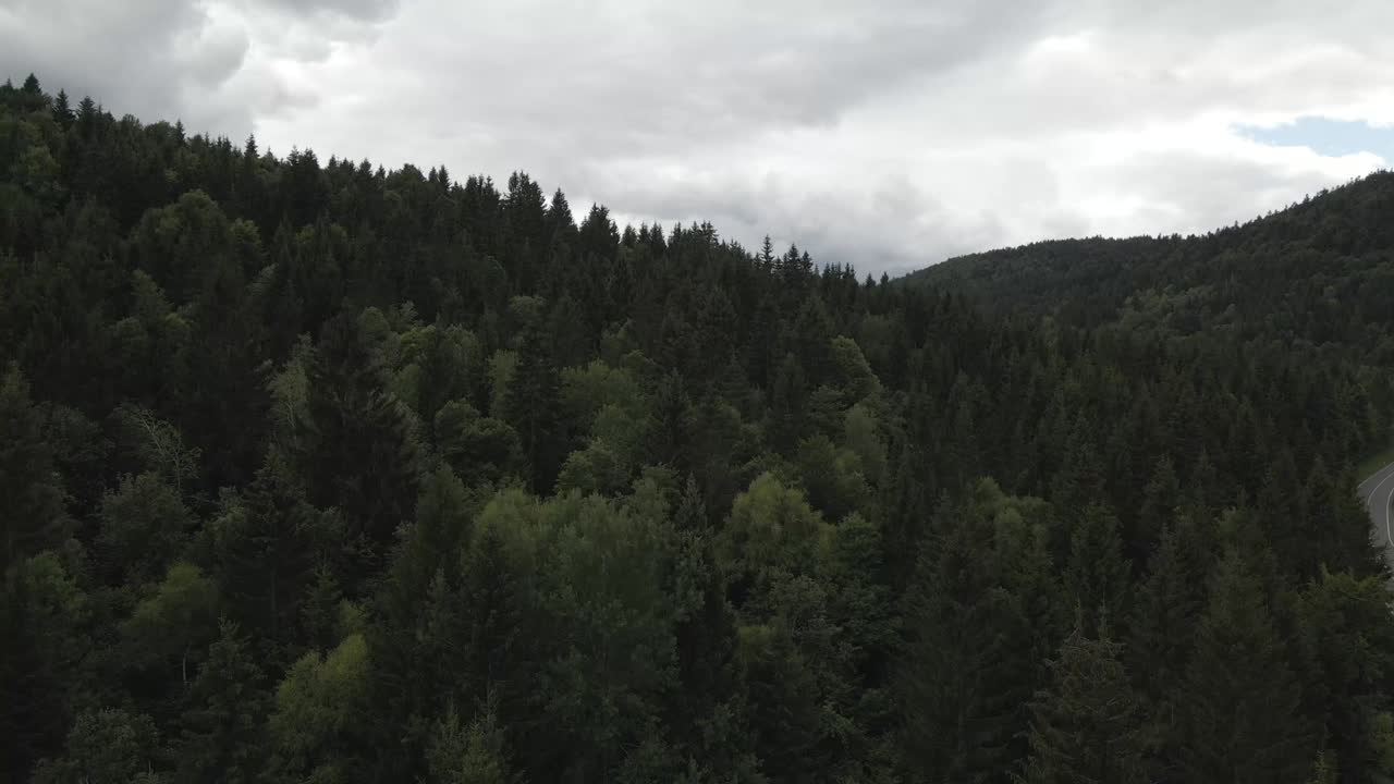 Ripresa aerea di una foresta in Slovenia.