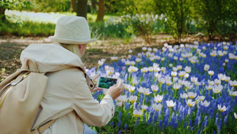 Girl-In-A-Hat-Takes-A-Picture-of-Tulips