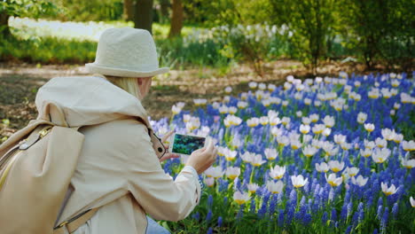 chica con sombrero toma una foto de tulipanes