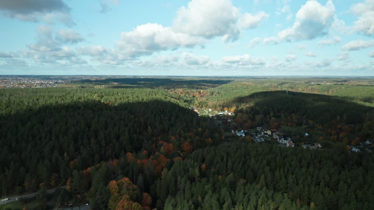 AERIAL: rural landscape with autumn forest