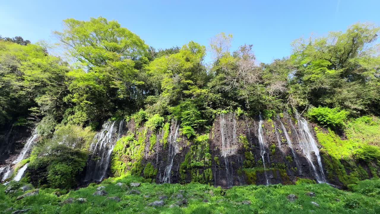 Shiraito Falls, Mount Fuji, beautiful cascading water surrounded by lush greenery