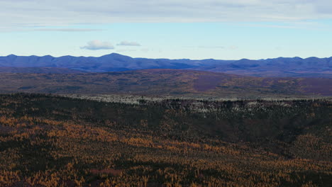 forested nature with autumn colors in eagle plains, yukon territory of canada. aerial shot