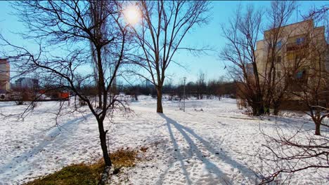 timelapse  in snowy park at  sunny  day