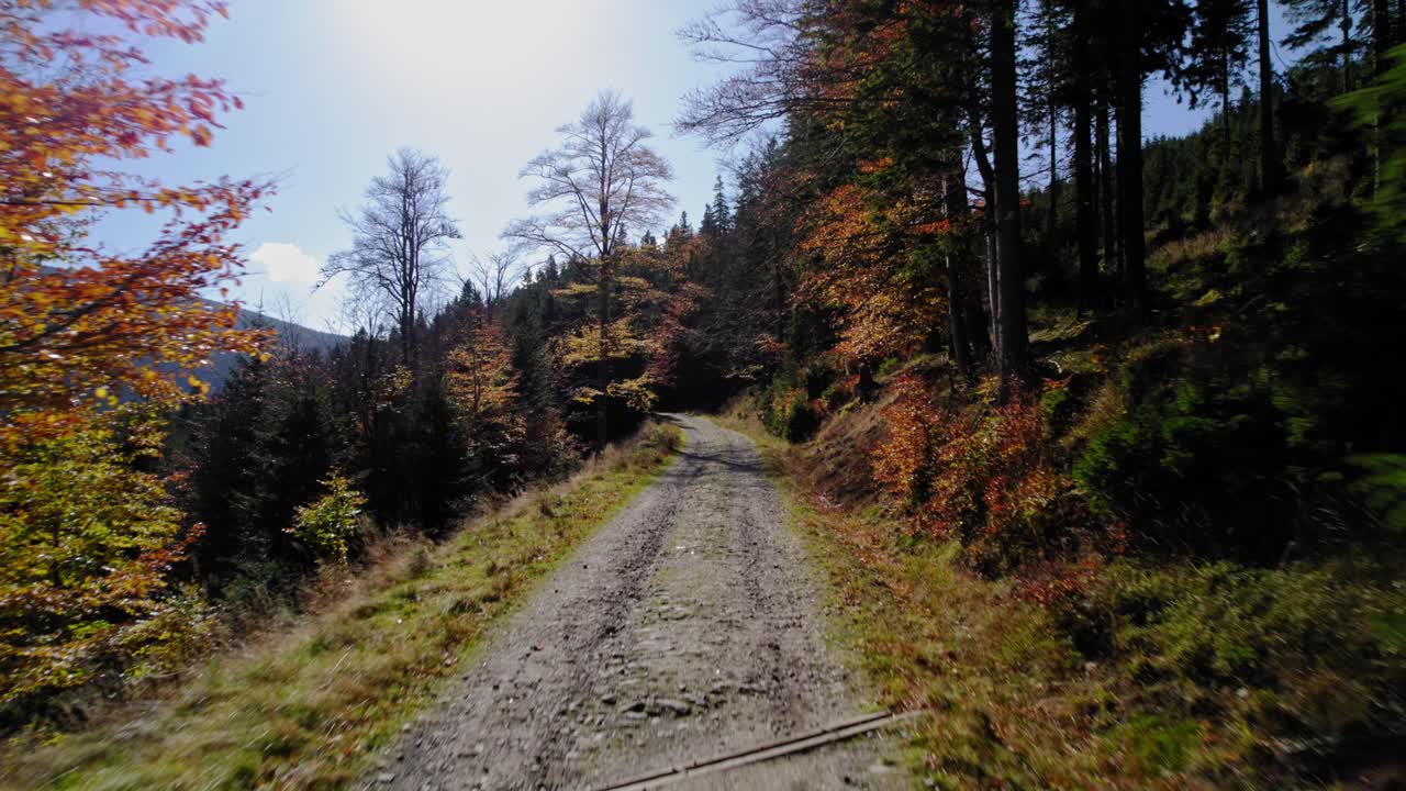 impresionantes tomas de video de drones europa la naturaleza en el amante de silesia