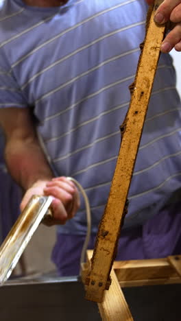 apiarist using electric knife to uncover sealed cells. frame with honeycombs getting ready for harvesting honey. vertical video