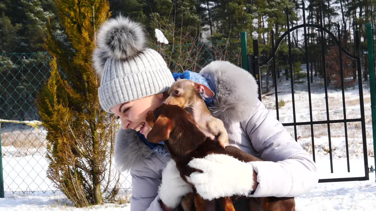 여자 는 겨울 밖 에서 작은 개 들 과 함께 놀고 있다