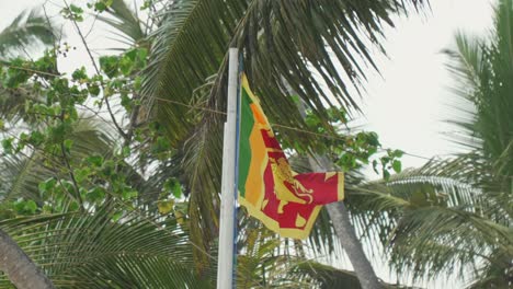 sri lankan flag flying near palm trees in a tropical setting, showcasing vibrant colors