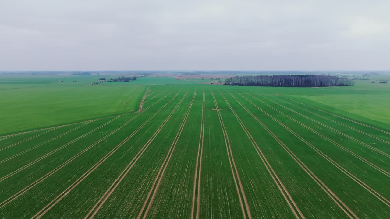 Wide drone of glides left across Latvian farmland, vibrant rows and moody sky