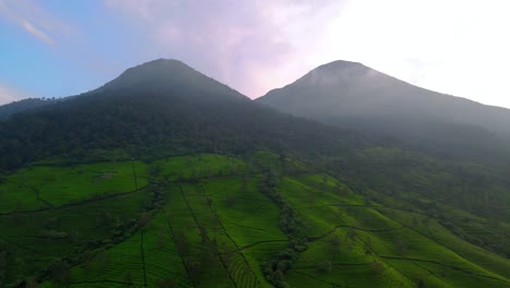 Cámara-De-Drones-Con-Vista-De-ángulo-Alto-De-La-Plantación-De-Té-En-La-Ladera-De-La-Montaña-Por-La-Mañana