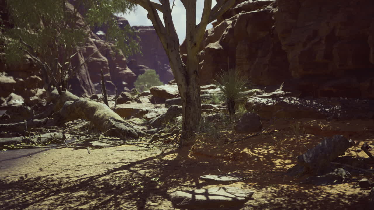 Bright daylight over a stark desert with rocky cliffs and sparse plants
