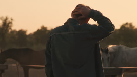 man watching horses at sunset