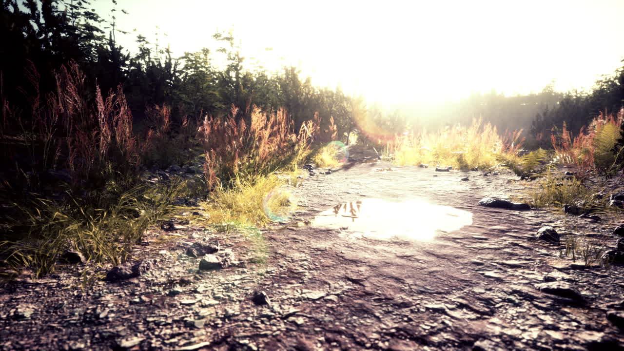 ⁇ 을 가로지르는 지저분한 길