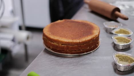 cake corpus in the kitchen of a patisserie