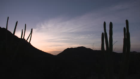 Timelapse-in-the-desert,-with-cactus-and-mountains