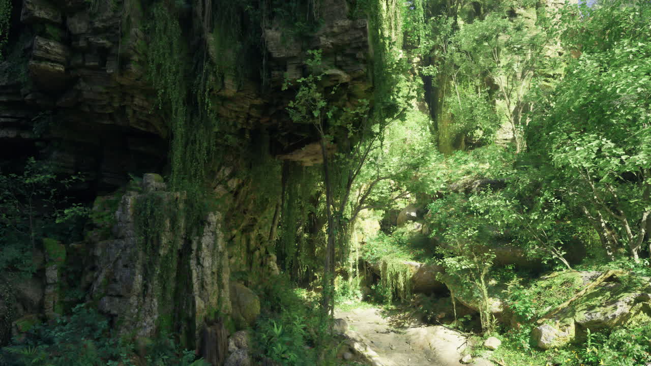 Lush green forest pathway surrounded by rocks and foliage in bright sunlight