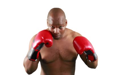 un boxeador musculoso serio con guantes posando