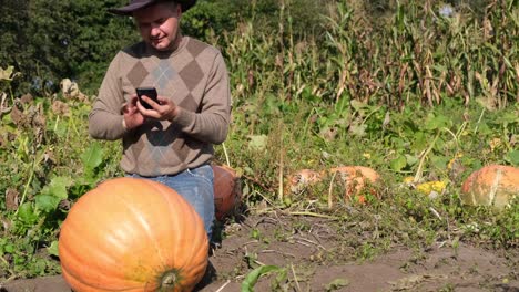 Yellow Ripe Pumpkin in the Garden of a Rural Farmer he Takes Pictures of it on a Smartphone Yellow Ripe Pumpkin in the Garden of a Rural Farmer he Takes Pictures of it on a Smartphone Rural Worker
