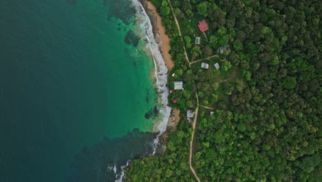 bocas del toro panama aerial v4 vertical top down view, drone flyover along coastal shore capturing paunch beach peninsula, turquoise blue sea and tropical forest - shot with mavic 3 cine - april 2022