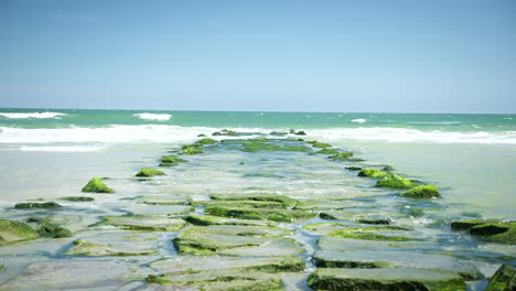 las olas golpean el parche de rocas verdes vibrantes en la playa