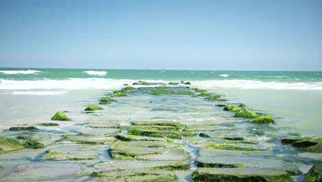 waves hit patch of vibrant green rocks at beach