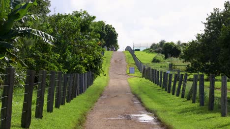 a dirt road flanked by lush greenery and fences under bright daylight in byron bay, australia